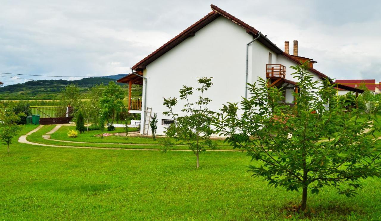 Vila Tara Hategului Extérieur photo