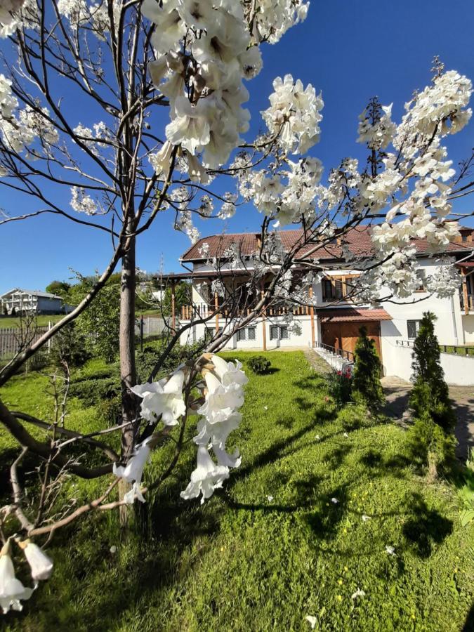 Vila Tara Hategului Extérieur photo