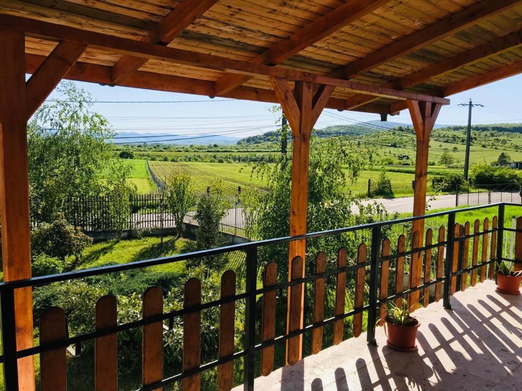 Vila Tara Hategului Extérieur photo