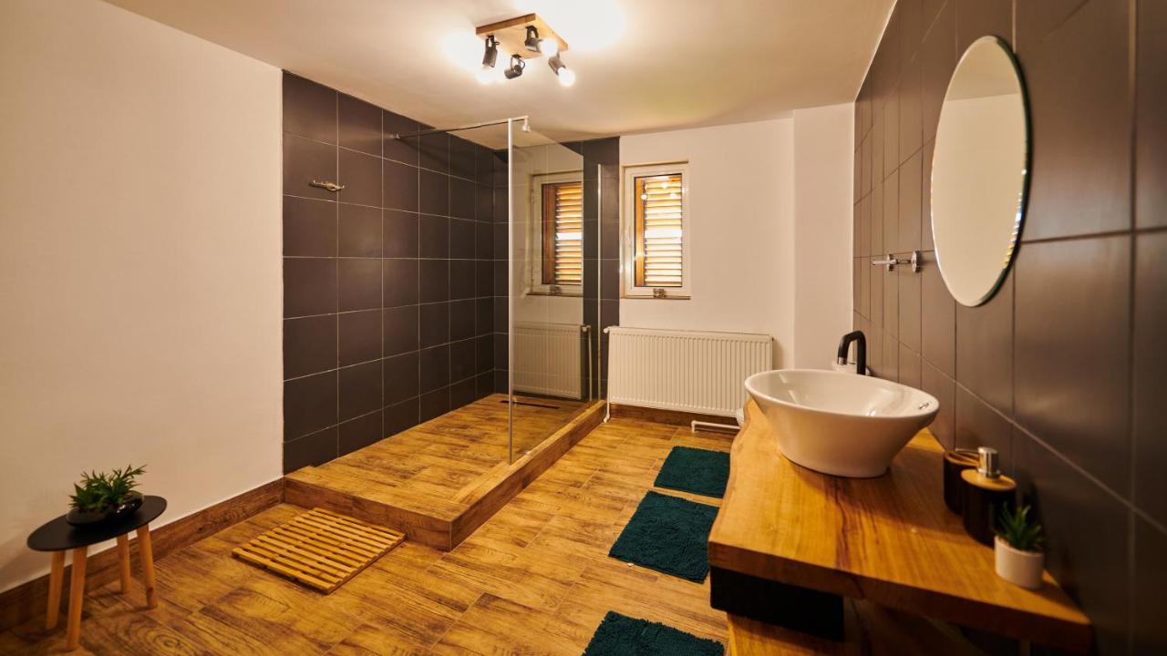 Vila Tara Hategului Extérieur photo