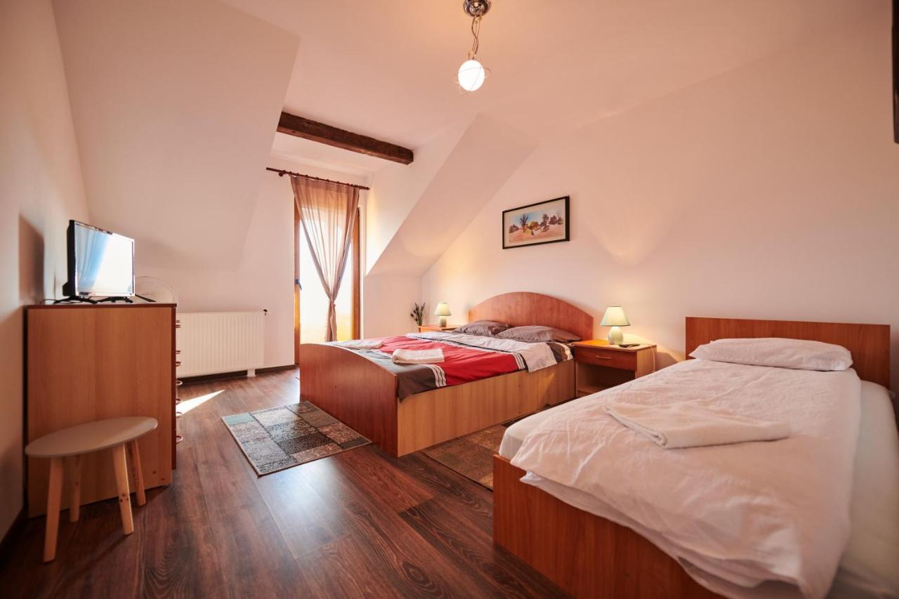 Vila Tara Hategului Extérieur photo