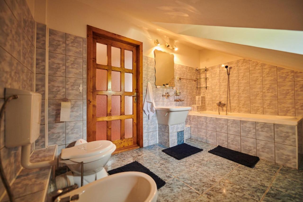 Vila Tara Hategului Extérieur photo