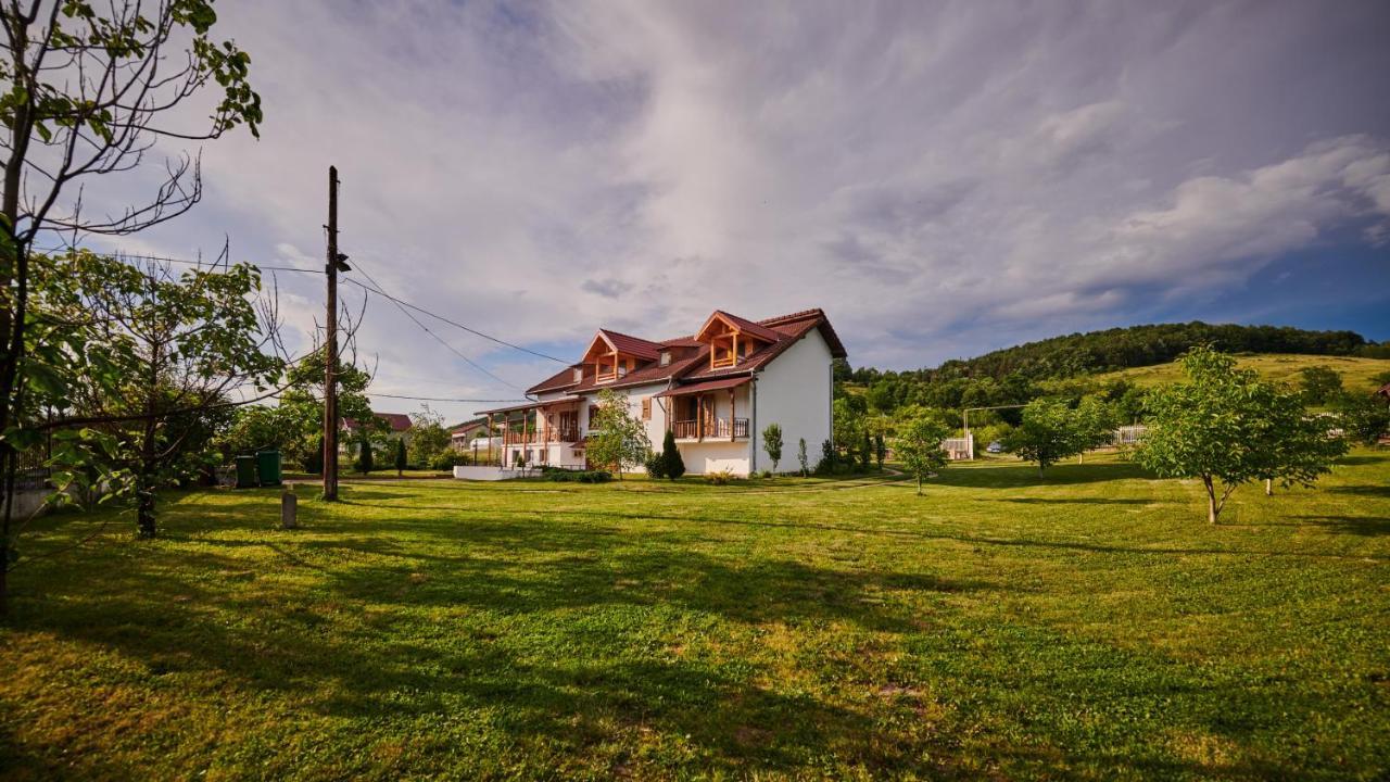 Vila Tara Hategului Extérieur photo
