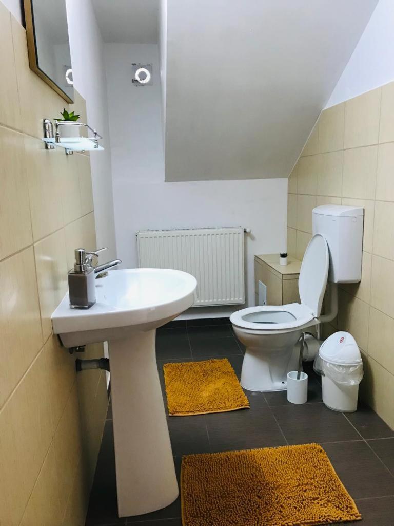 Vila Tara Hategului Chambre photo