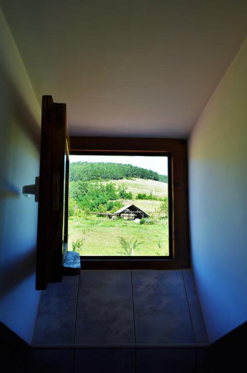Vila Tara Hategului Extérieur photo